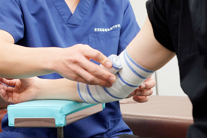 腰痛から学ぶ、背骨のしくみと固定の技術